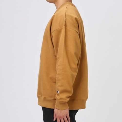 Champion Mens Tonal Script Crew Briefly Brown
