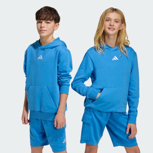 Adidas Kids Small Logo Fleece Hoodie Ray Blue/White