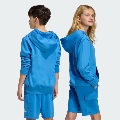Adidas Kids Small Logo Fleece Hoodie Ray Blue/White
