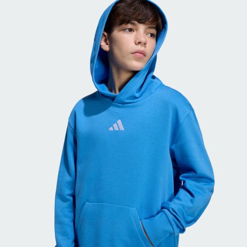 Adidas Kids Small Logo Fleece Hoodie Ray Blue/White