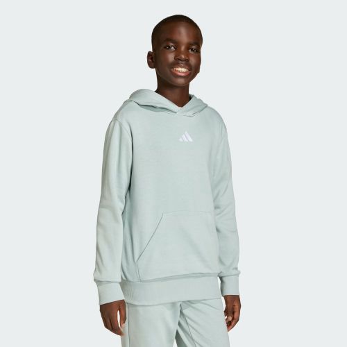 Adidas Kids Small Logo Fleece Hoodie Wonder Sage/White