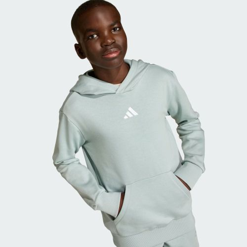 Adidas Kids Small Logo Fleece Hoodie Wonder Sage/White