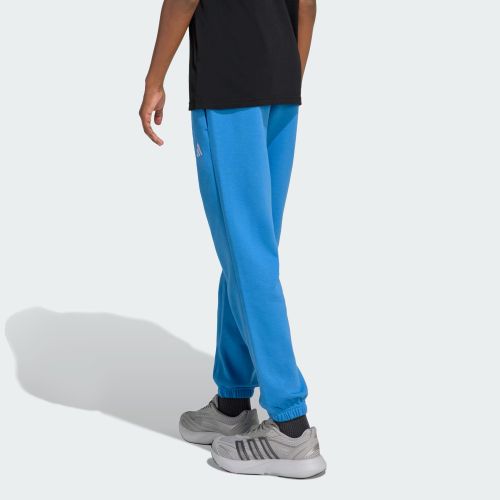 Adidas Kids Small Logo Fleece Pant Ray Blue/White