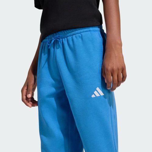 Adidas Kids Small Logo Fleece Pant Ray Blue/White