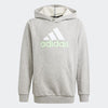 Adidas Kids Big Logo 2 Coloured Hoodie Medium Grey Heather/White/Semi Green Spark