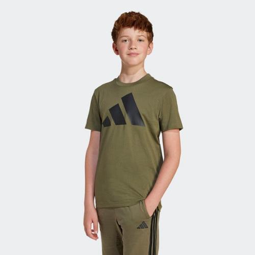 Adidas Kids Big Logo Tee 160 Olive/Black