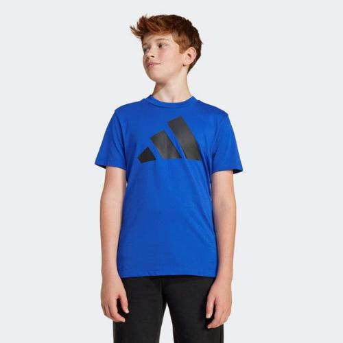 Adidas Kids Big Logo Tee 160 Royal Blue/Black