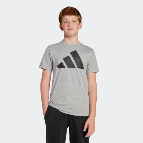 Adidas Kids Big Logo Tee 160 Medium Grey Heather/Black