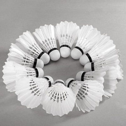 Regent Feather Shuttlecock 12 Pack